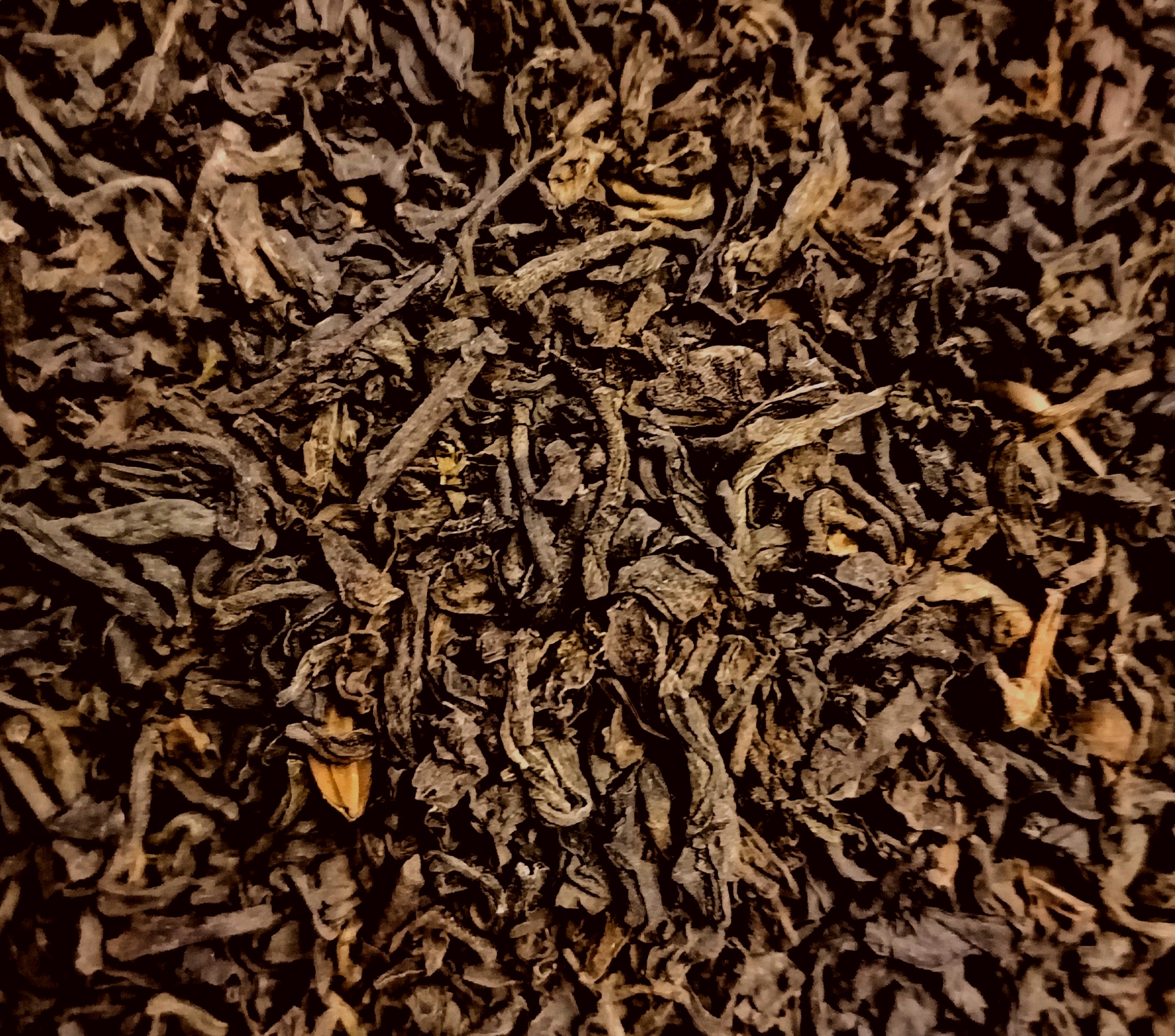 PU-ERH BIO