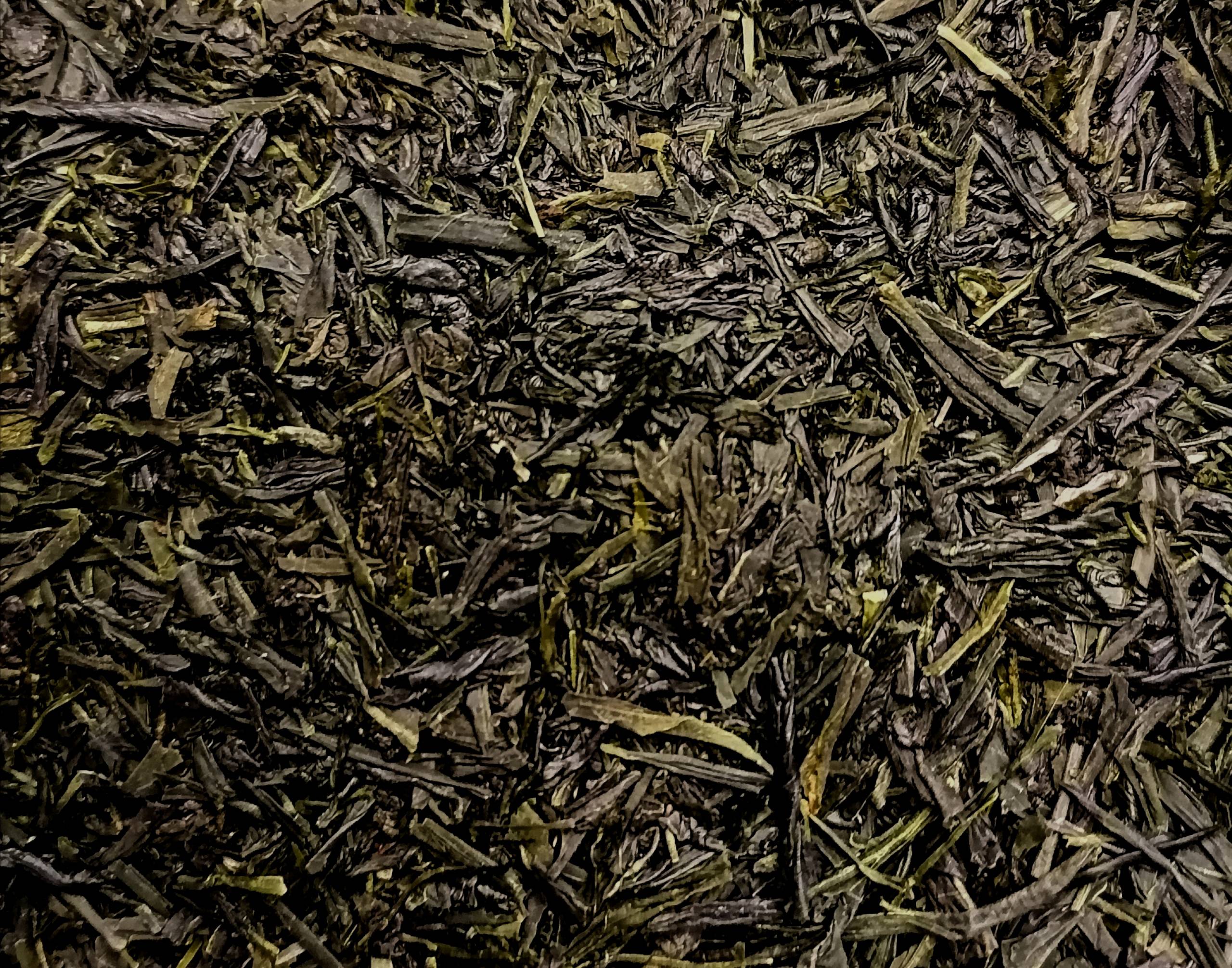 SENCHA KAGOSHIMA bio (SPRING)