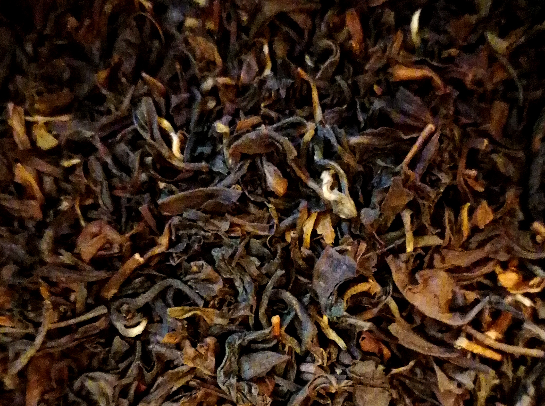 BUTTERFLY OF TAIWAN (Oolong)