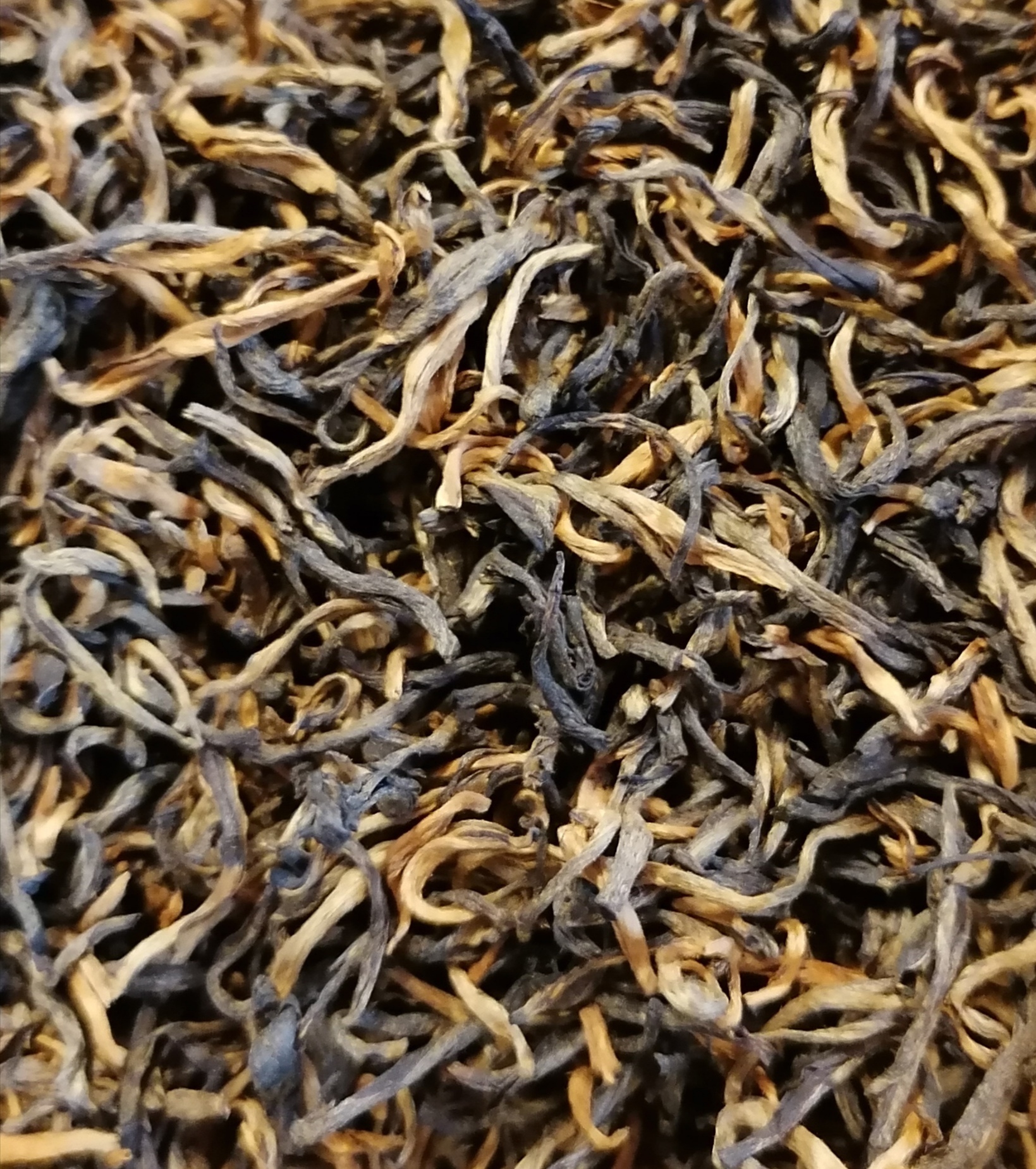 GOLDEN BLACK BIO