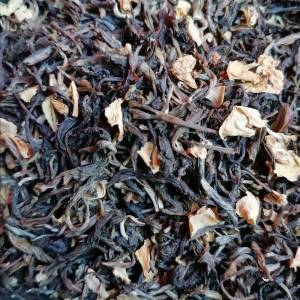 PASSION DE FLEURS - DAMMANN FRERES