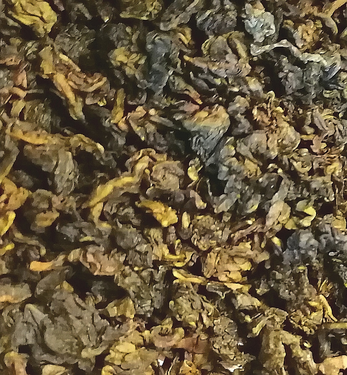 MILKY OOLONG