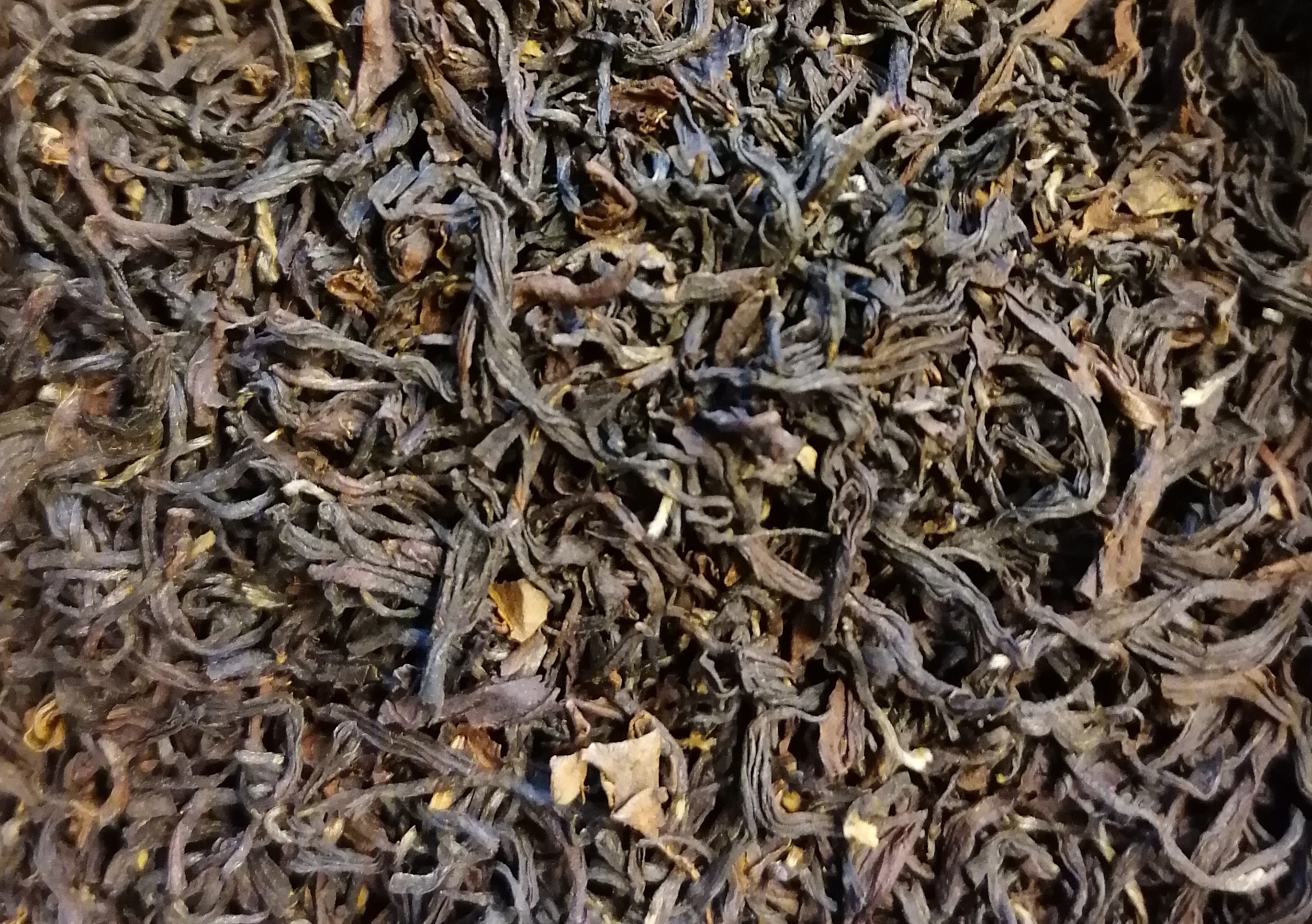 DARJEELING JUNGPANA BIO F.T.G.F.O.P.1 SF WONDER MUSCATEL