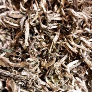 WHITE SHANGRI-LA NEPAL BIO