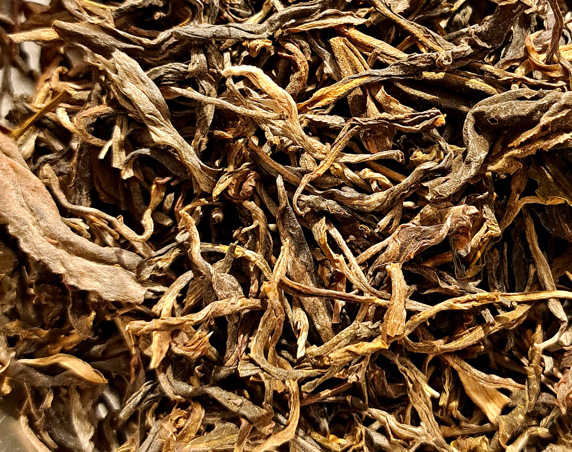 GIALLO KEKECHA